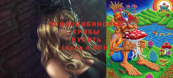 a pvp Аркадак