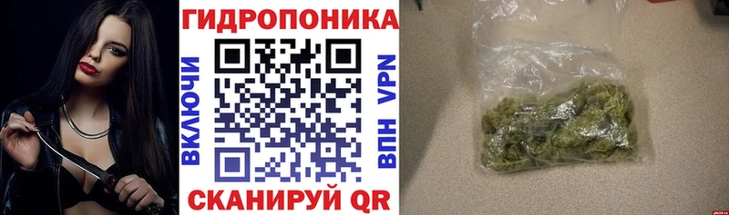 Канабис марихуана дарнет шоп Бабушкин